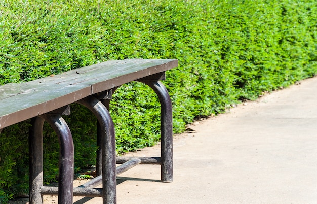 Lonely bench