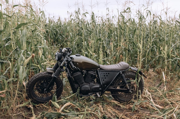 Lonely big retro black motorcycle standing on the grass in the steppe around the long greenery. Outdoors. Drive concept