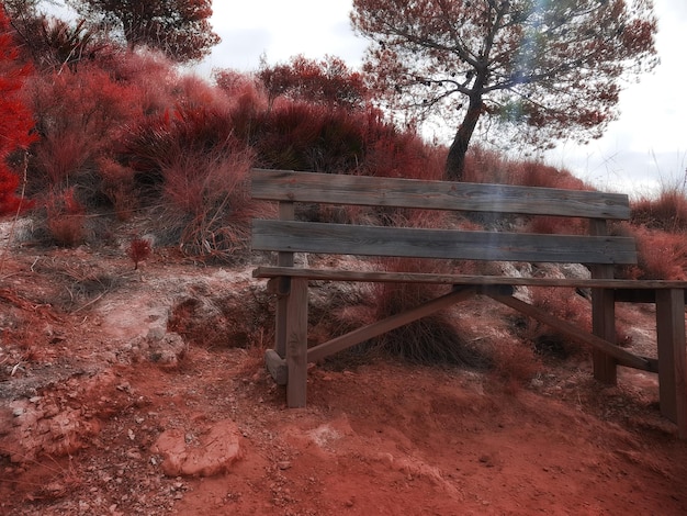 Photo lonely couch in the mountain