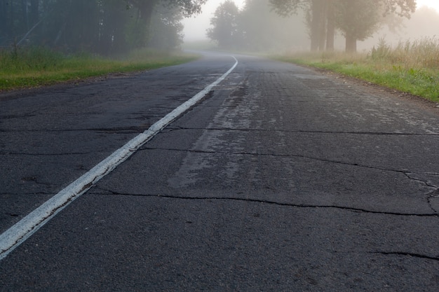 A lonely foggy road cutting through a thick and quiet wood.