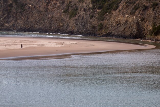 Photo lonely girl walk on a beach