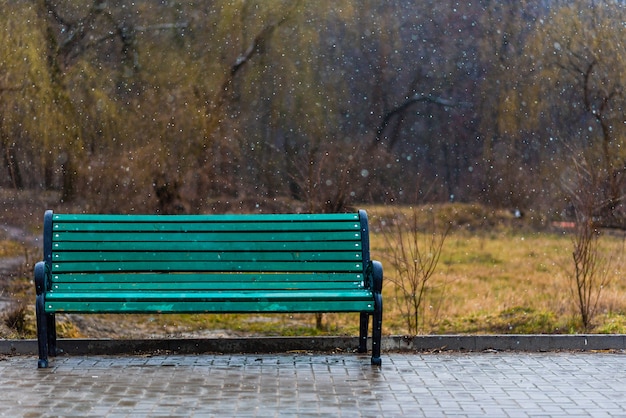 孤独な緑のベンチ。