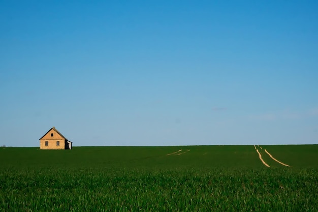 A lonely house in a green field