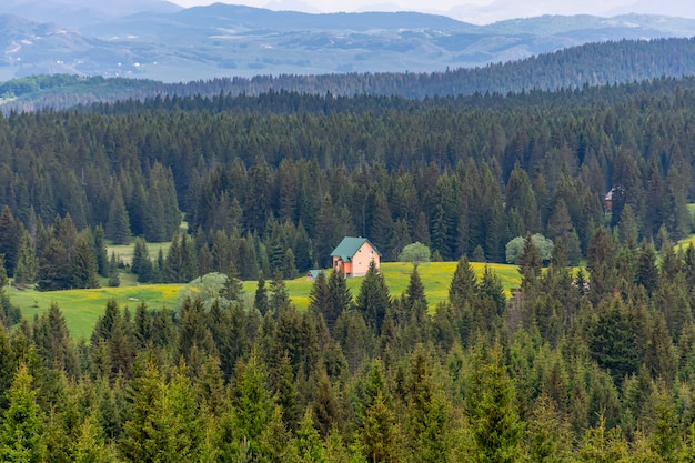 A lonely house is located in the mountains in the middle of the forest.