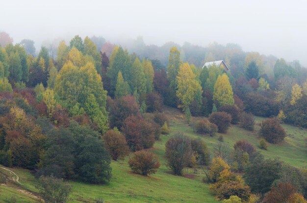 Lonely house on a wooded hill. Autumn landscape in a mountain village. Foggy Day. Carpathians, Ukraine