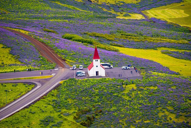 Photo lonely lutheran myrdal church surrounded by violet and pink lupine and yellow meadow flowers at vik town south iceland at summer sunny day with many visitors and tourists