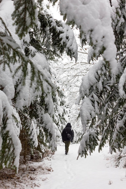 A lonely man walking in snowy clearing in the forest