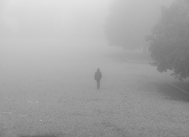 Photo lonely person walking at park in foggy weather