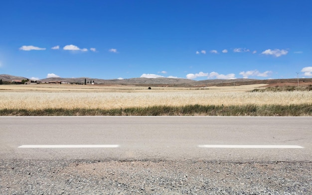 Lonely road with wheat fields