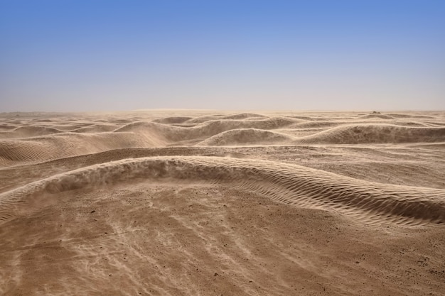 Dune di sabbia solitarie in un forte vento sotto il cielo sullo sfondo del deserto arido