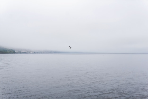 Одинокая чайка летит над водой в утреннем тумане
