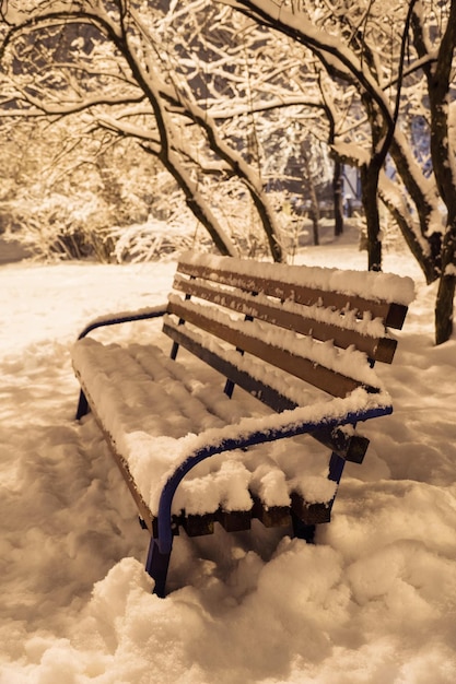 Lonely snow-covered wooden bench in winter park at night