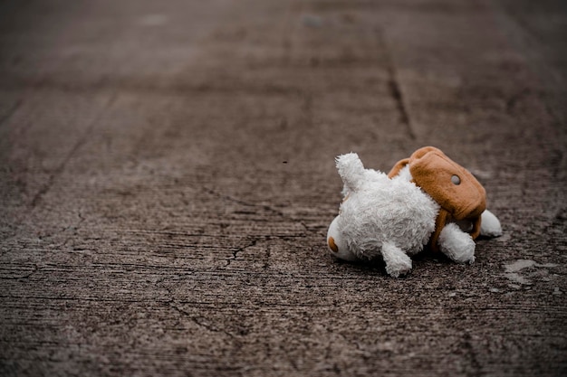 Lonely teddy bear sleep on cement floor for created postcard of international missing children broken heart lonely sad alone unwanted cute doll lost
