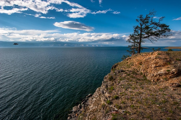 Photo lonely tree on a high rock on the shore of lake baikal