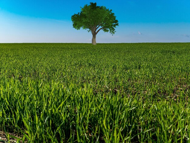 A lonely tree standing in a green field against a blue sky