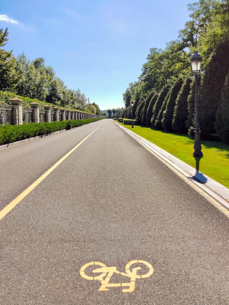 A long asphalt empty road in perspective between a decorated fence and a park with rows of trees