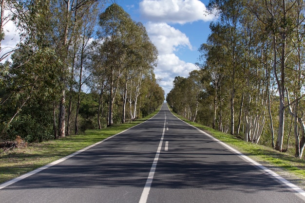 Foto lunga strada asfaltata