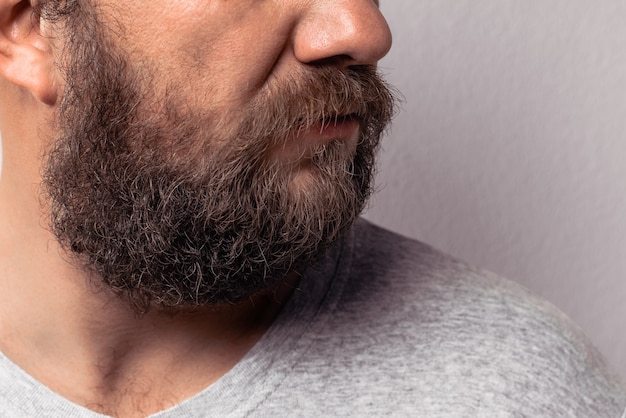 Long beard and mustache of handsome bearded man portrait of bearded man in gray tshirt