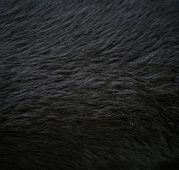 Photo long black fur of a dog faux fur fabric artificial fur fabric texture useful as background