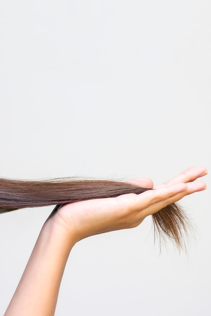 Foto lunghi capelli castani sul palmo, cura dei capelli