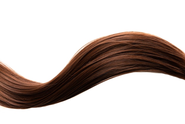 a long brown and white hair with a long brown tail