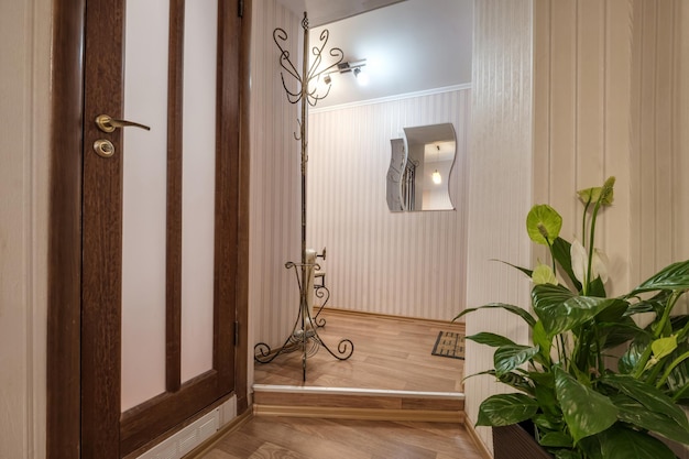 Long corridor in interior of entrance hall of modern apartments\
with doors cabinets shelves and a mirror