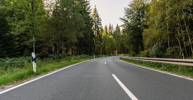 Long Curvy Forest Road In Alpine Mountains