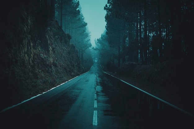 Long dark rainy roads with trees and forest nature around Concept of travel with bad weather condition Nature park destination with rain Climate change and global warming effects on planet