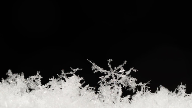 Long delicate snow crystals panorama