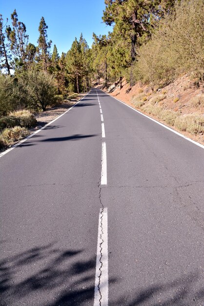 Long Empty Desert Asphalt Road in Tenerife Canary Islands Spain