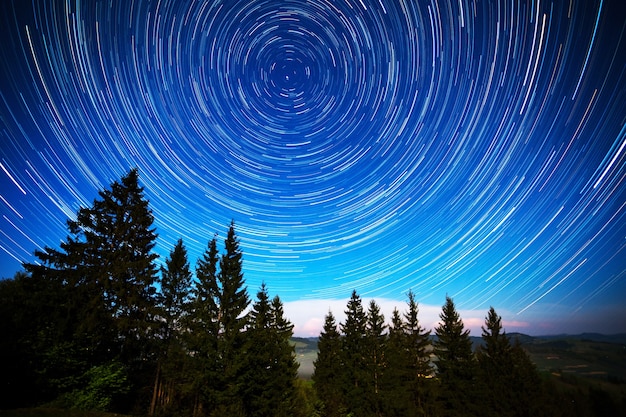 Long exposure of bright starry blue sky and coniferous forest with tall trees
