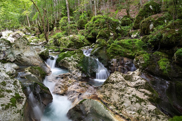 Long exposure image of beautiful stream of water running through mossy cascades