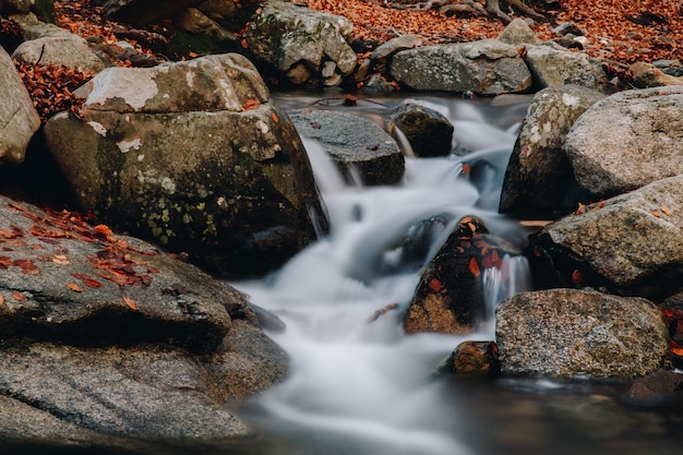 秋に山の岩の間を通過する水のカラフルな葉の長時間露光