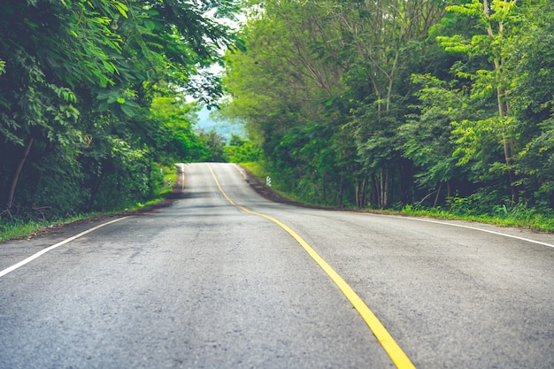 Long highway road or street patrol concept, road or main street in forest on mountain