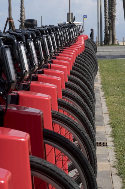 Foto una lunga fila di biciclette a noleggio