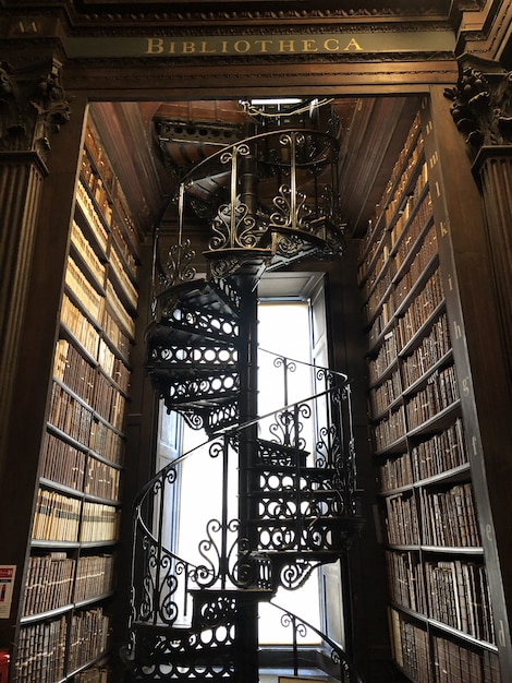 Long room ladder