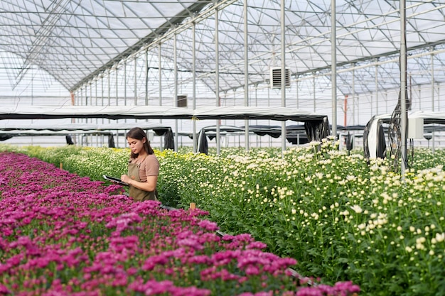 Long shot of young female worker of greenhouse using tablet