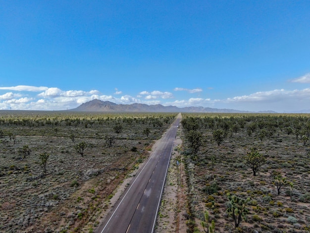 long small road in the middle of the desert in Arizona California USA