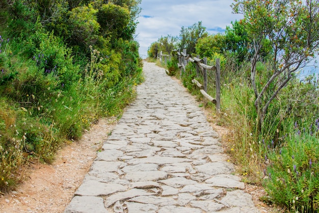 美しい緑の茂みや木々に囲まれた山の上の長い石の道。