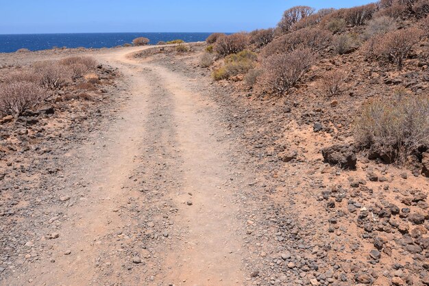 Foto la lunga strada sterrata del deserto scompare nell'orizzonte.