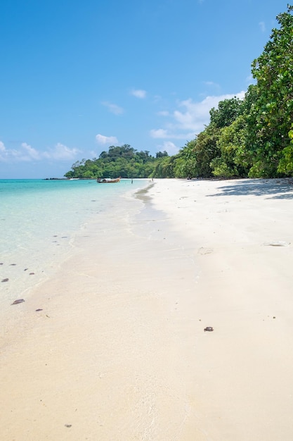 Длинный хвостовой деревянный лодочный якорь с белым песком csytal sea