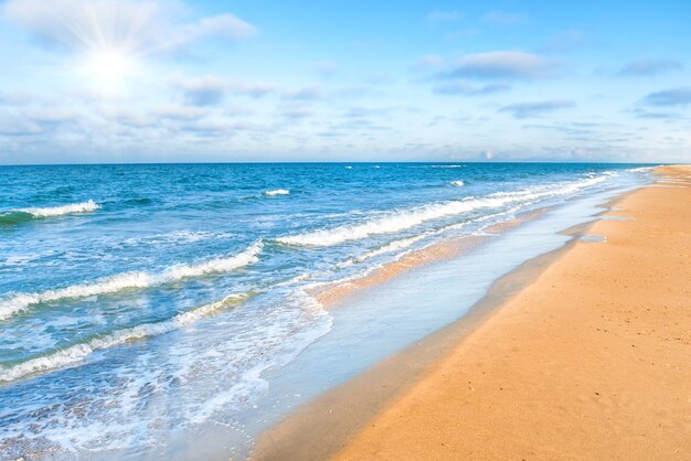 Long tropical sandy beach with surf and sea waves