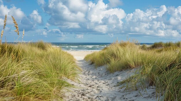 long walk to the beach