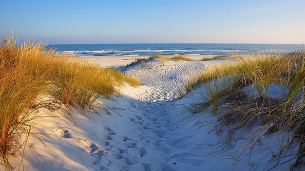 long walk to the beach