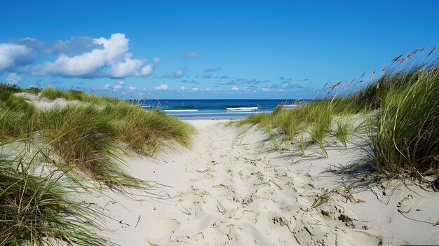 Photo long walk to the beach