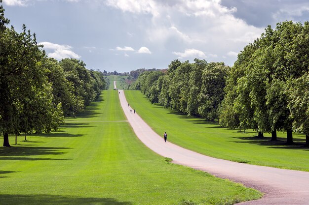 The Long Walk at Windsor Great Park