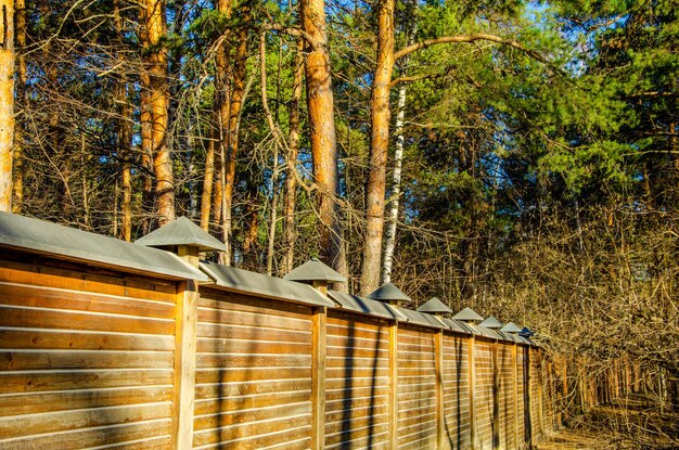 A long wooden fence in the woods on a summer day.