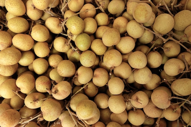 Photo longan background