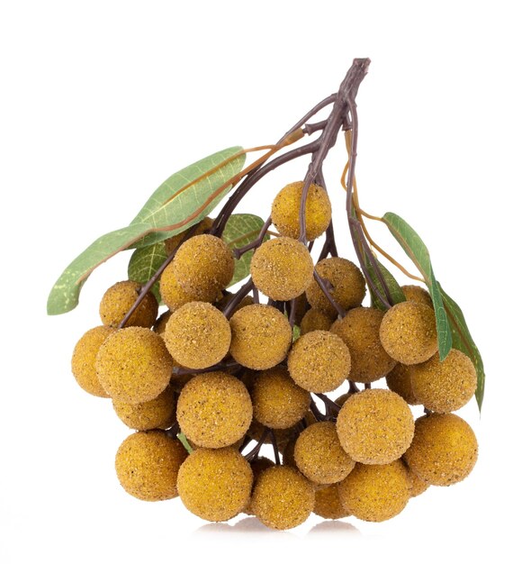 Longan per decorazione ornamenti di frutta artificiale schiuma artificiale  finta imitazione isolata su sfondo bianco