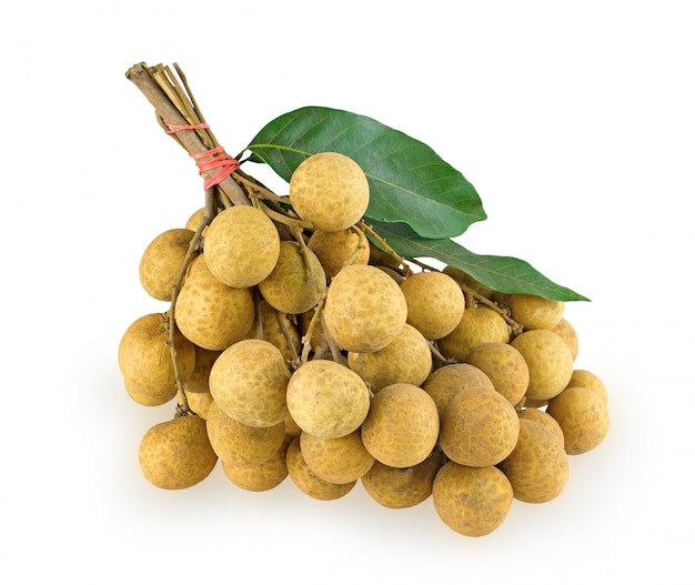 흰 벽에 Longan 과일